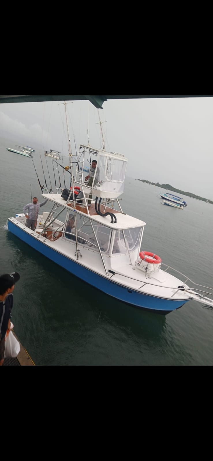 Día Tuanis at the marina