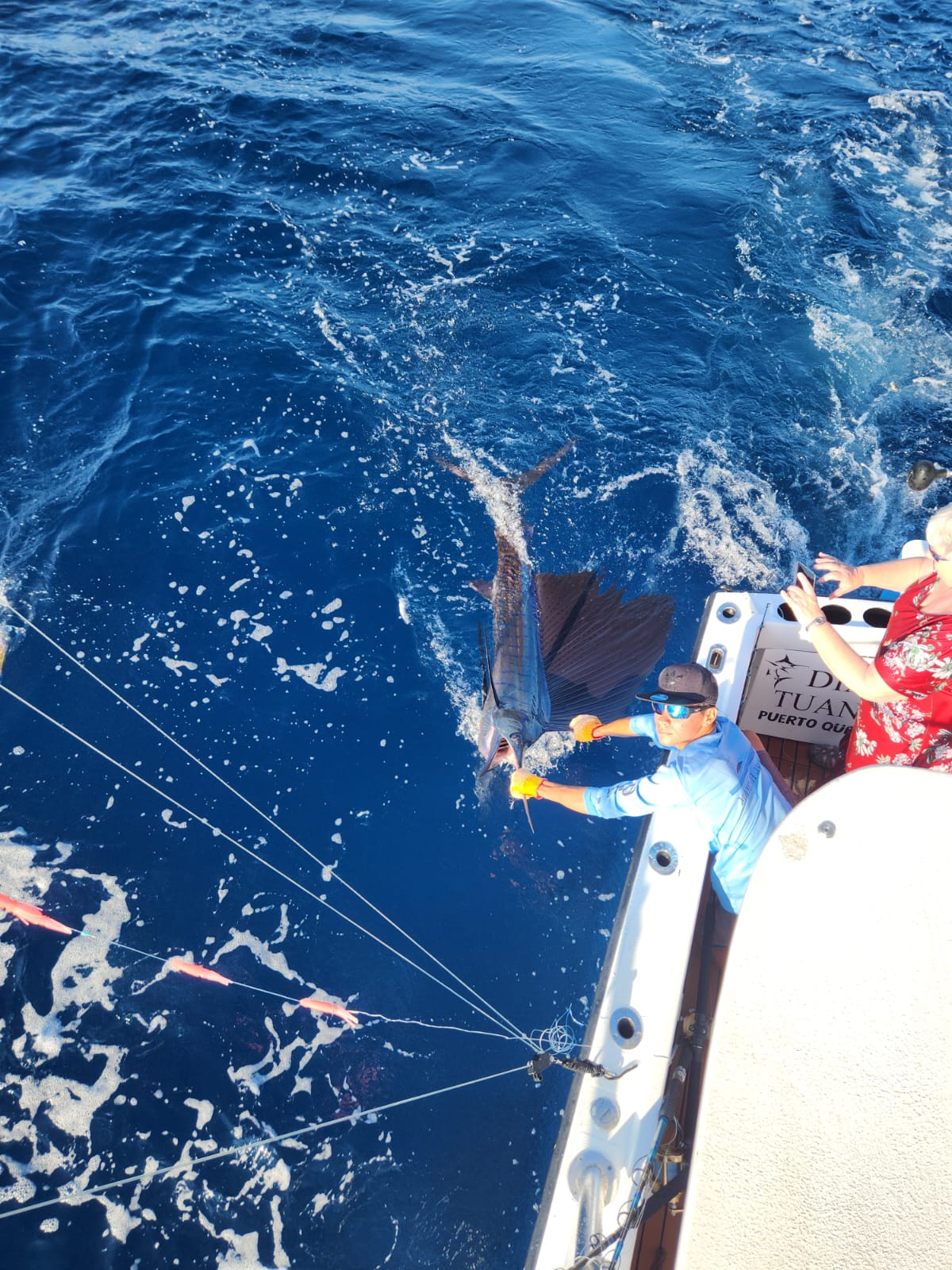 Captain releasing a marlin