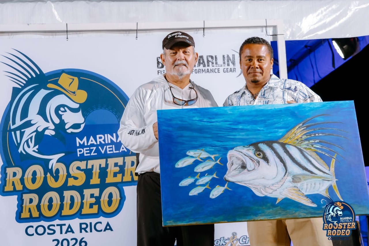 Sailfish release in the water
