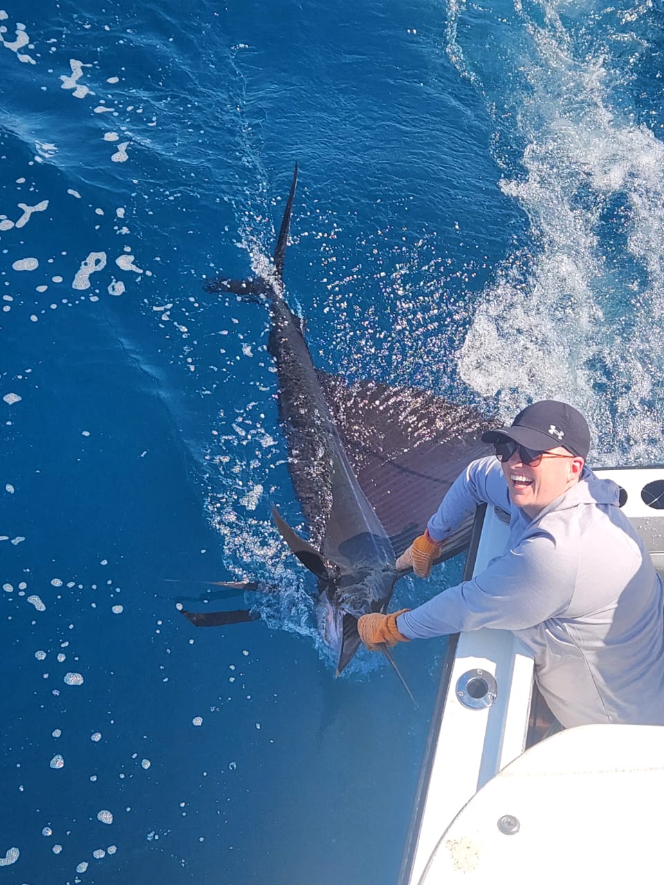 Angler releasing sailfish beside the boat